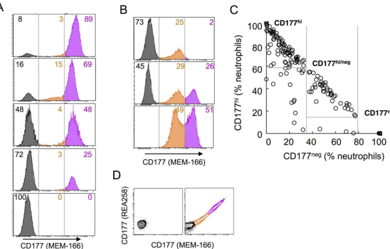 Fig 1. CD177 expression in neutrophils. A. Neutrophils of 5 subjects were gated on CD66b + cells and analysed for surface expression of CD177.
