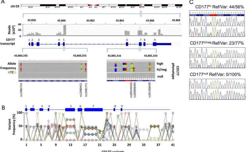 Fig 2. Two exons of enriched SNP density and a novel stop codon variation in CD177 gene