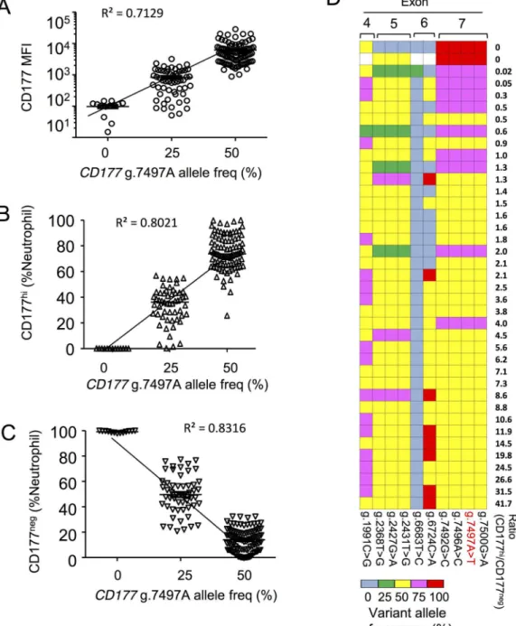 Fig 3. CD177 g.7497A allele frequencies correlate to neutrophil CD177 expression. A — C
