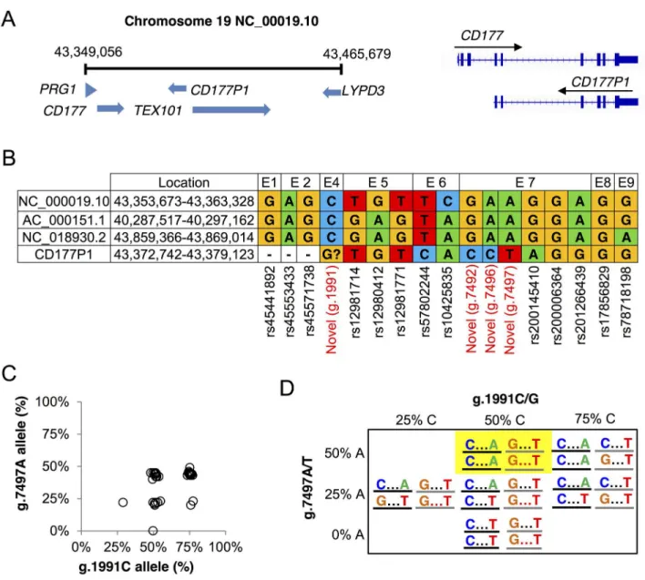 Fig 4. CD177 and CD177P1 variations. A. CD177 locus on human chromosome 19 and a schematic comparison of CD177 and CD177P1 genes