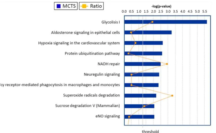 Fig 4. Top canonical pathways identified in cholangiocarcinoma cells EMT. The graph represents host cell pathways with highest score (y-axis) based on the number of differentially regulated proteins using Ingenuity protein analysis