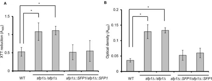 Fig 3. Deletion of SFP1 enhances C . albicans adhesion. Cell adhesion was assessed in a 24-well polystyrene microplate in SC medium at 37°C with 5%