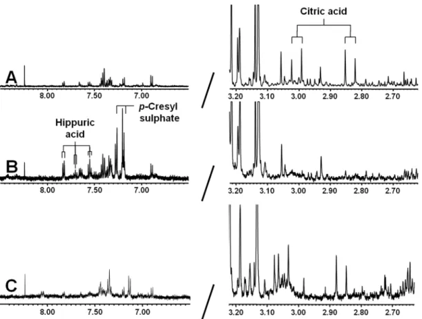 Figure 2. 500 MHz 1 H-NMR spectra: region d 7.00–7.80 and 3.00–2.00. (A) Authentic reference solution of p-cresyl sulphate with chemical structure and assignments