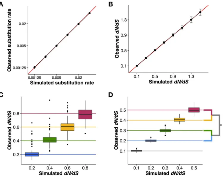 Fig 2. Pyvolve accurately evolves sequences under homogenous, site-wise rate heterogeneity, and branch-specific rate heterogeneity