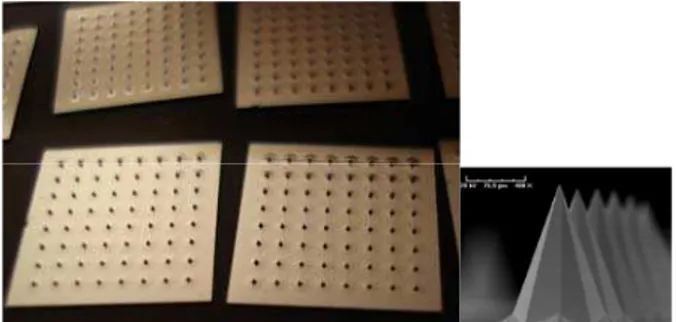 Figure 4: Experimental set up used for realizing compressive tests. 