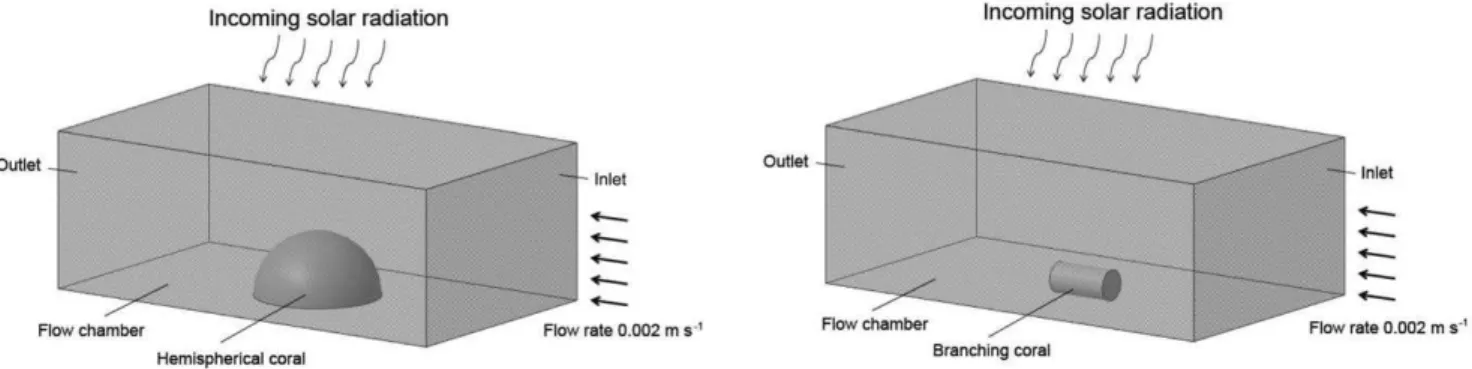 Table 2. Dimensions of corals used by Jimenez et al.