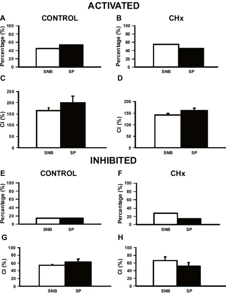 Figure 5. Chemosensitivity response of SC neurons to substance P. Percentages of SC neurons that were activated (A and B) or inhibited (E and F) by hypercapnic acidosis in the absence (SNB) or presence of substance P (SP) from control rats (N = 10 and N = 
