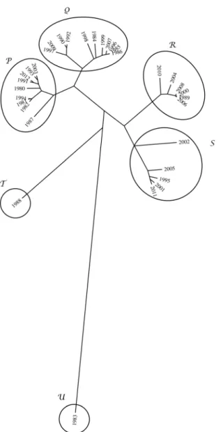 Fig. 5 leads to a result easier to interpret than Fig. 4, as it identifies groups of objects that are similar.