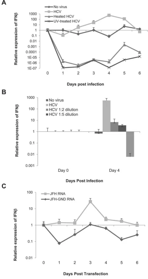 Figure 1. IFN response is dependent on viral replication. A) IFNb mRNA expression was measured daily from the total RNA of LH86 cells treated with an MOI of 0.1 of HCV/JFH-1