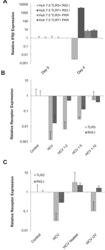 Figure 5. The expression of TLR3 and RIG-I is affected by intact virion proteins in hepatocytes A) IFNb mRNA expression in Huh7.5 TLR3 or TLR7 stable cell lines co-transfected with either PKR or RIG-I after infection with HCV MOI = 0.1