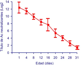 Figura 1: Declinación en el tiempo de los anticuerpos maternos en progenies procedentes  de reproductoras a los siete meses de inmunizadas con la vacunas tretravalente oleosa, que  incluye al virus de la enfermedad infecciosa de la bolsa por sueroneutraliz