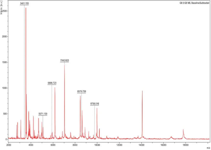 Table 2. MALDI-TOF-MS detection of B. crocidurae in 50 O. sonrai ticks collected in Senegal.