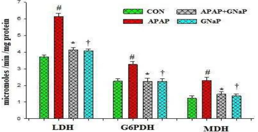 Figure  7.  Effect  of  green  synthesized  gold  nanoparticles  on  carbohydrate  metabolic  enzymes  of  control  and  experimental  fish