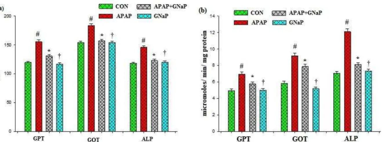 Figure  8.  Effect  of  green  synthesized  gold  nanoparticles  on  hepatotoxic  markers  in  blood  (a)  and  liver  (b)  of  control  and  experimental  fish