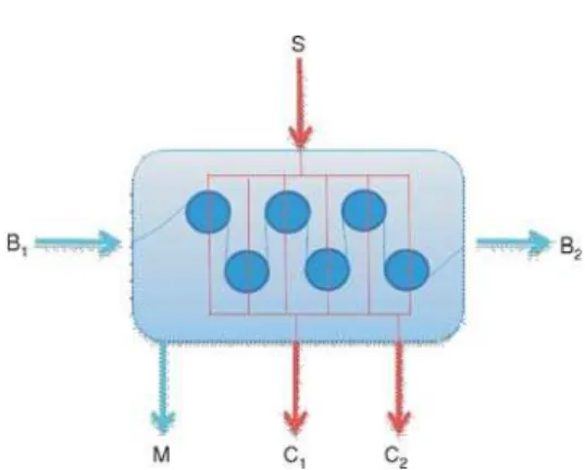 Figure 3. Conceptual layout of the dryer section with respect to material, energy, and exergy flow