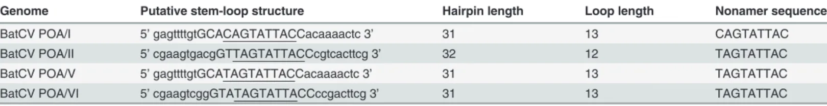 Table 3. Organization and genomic features of the potential stem-loop structures found in the four BatCV/POA genomes.