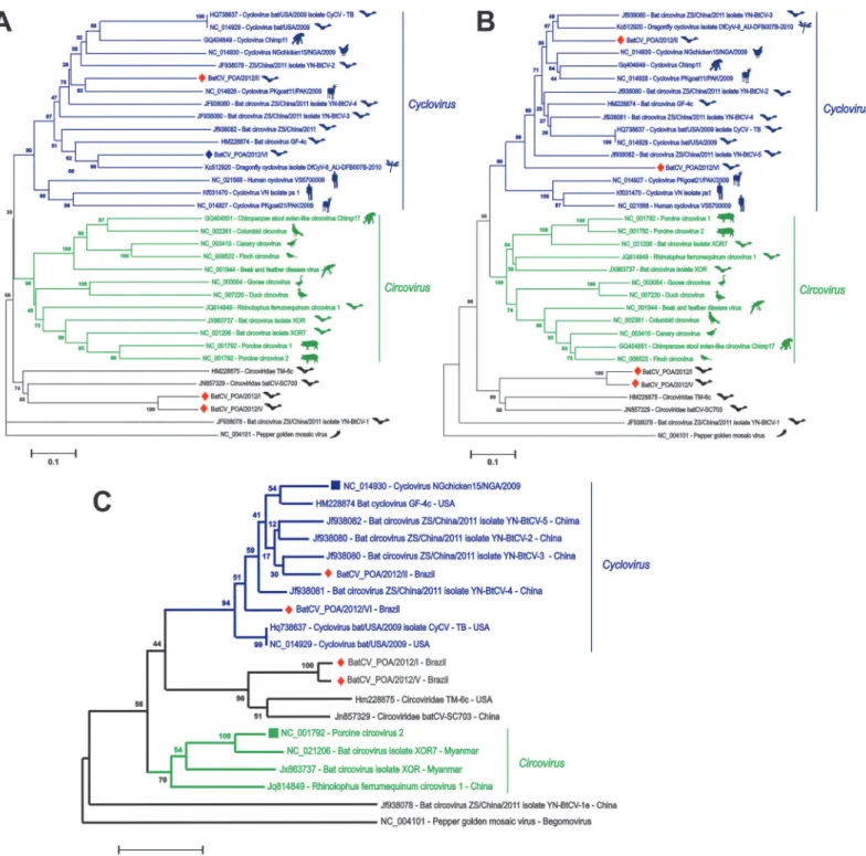 Fig 3. Phylogenetic analysis of the complete CAP (A), REP (B) and complete genomes (C) from Circovirus and Circovirus -like genomes identified in mammals, birds and insects