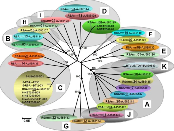 Figure 4. Neighbour-joining tree showing relationships between Seg-2 of NET2008/05 with other BTV-6 isolates and the twenty- twenty-five reference strains of different BTV serotypes