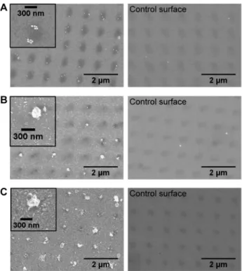 Figure 6. Gold nanoparticle probes and silver nanoparticle deposition on protein-PEG patterns (300 nm mask)