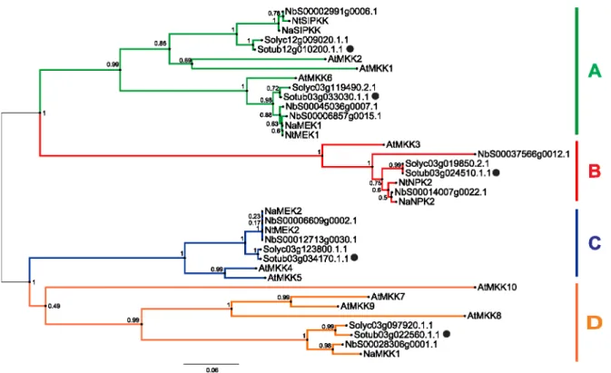 Figure 2. Gene expression pattern of MKK family in the HR response against PVY. Cultivar Rywal (HR response, conferred by Ny-1 gene) and NahG-Rywal (impaired accumulation of SA) were analysed for whole transcriptome response 1, 3 and 6 days after PVY N-Wi 