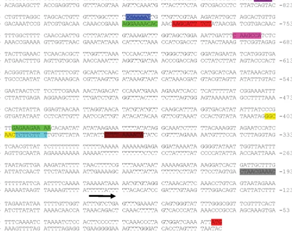 Figure 4. St MKK6 gene expression in development and stress [40]. Data are obtained from the potato eFP browser [39]