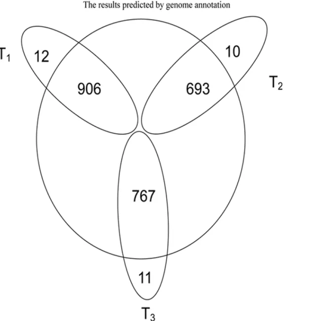 Fig 1. Protein identified of phases T1, T2 and T3 by mass spectrometry compared with the results of genome annotation