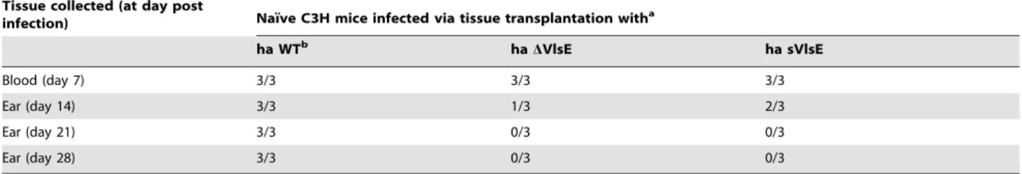 Table 5), demonstrating that these clones were fully capable of infecting mice. Together, these data support the findings of our reinfection experiments, emphasizing the importance of variable VlsE for B