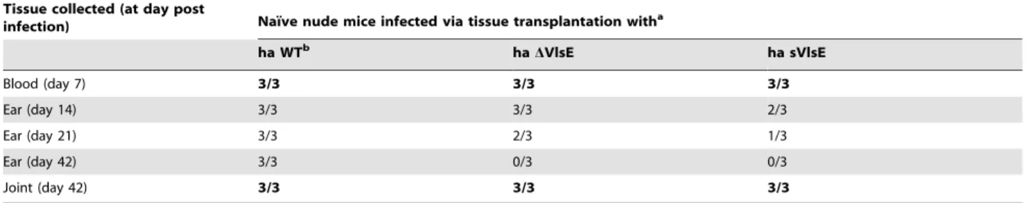 Table 7. Infectivity of host-adapted VlsE mutants in naı¨ve nude mice.