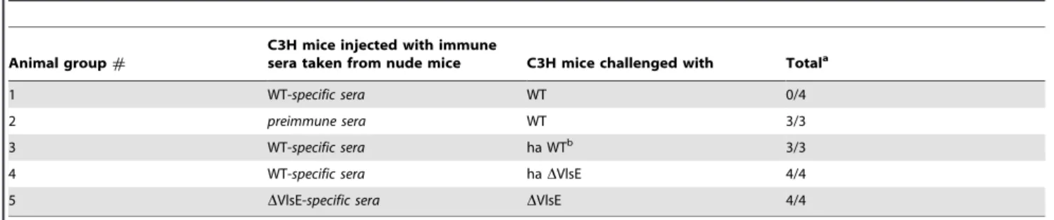 Table 8. Infectivity of B. burgdorferi clones in C3H mice passively immunized with T-cell independent antibodies.