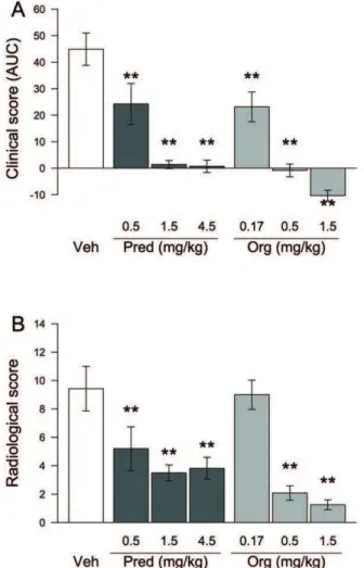 Figure 6. Org 214007-0 is equally effective as prednisolone in the mouse CIA model. A) Inhibition of arthritis in the CIA model.