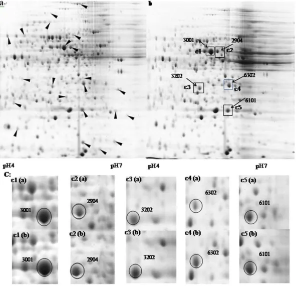 Table 1. MALDI-TOF/TOF analysis of peptides from 5 high-abundance proteins.