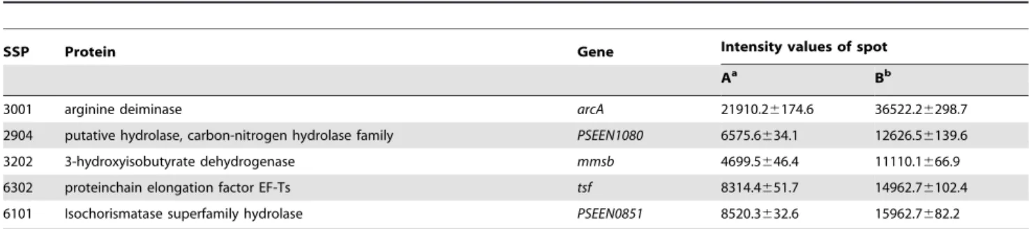 Table 2. Five high-abundance protein spots identified by MALDI-TOF/TOF.
