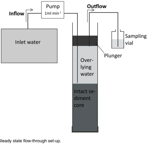 Fig. 2. Steady state flow-through set-up.