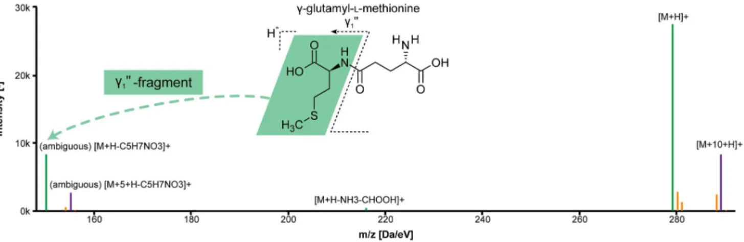 Figure 5. Pseudo spectrum and molecular structure of (c-)glutamyl-L-methionine. The c 1 ’’-fragment (on the very left) could be annotated thanks to the additional information provided by the 13 C monoisotopic peaks; green: 12 C monoisotopic peaks; magenta: