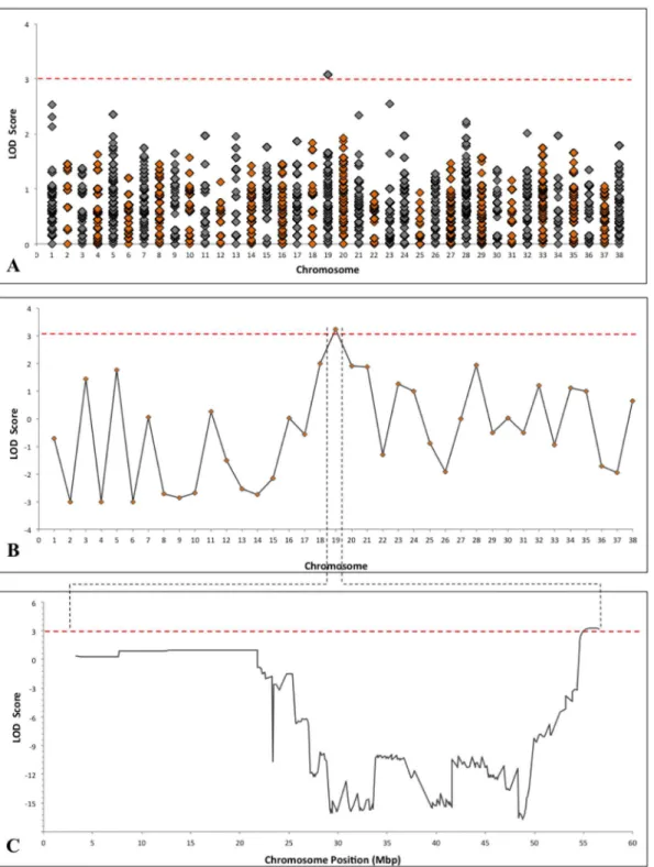 Fig 2. Genome-wide linkage analysis of SNP genotype data. Using two-point linkage analysis, a maximum LOD two-point score of 3.07 was achieved for a 0.49 Mb locus on chromosome 19