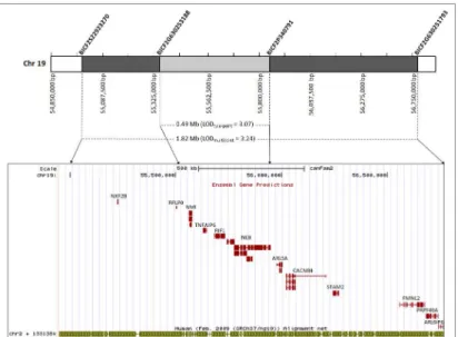 Fig 3. Graphical representation of two-point and multipoint linkage analysis results. The larger locus identified with using multipoint linkage analysis a maximum LOD multipoint score of 3.24 (Chr19: 54,949,124–