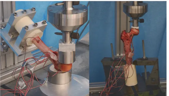 Fig 3. Experimental setup for the fall configuration (left) and the stance configuration.