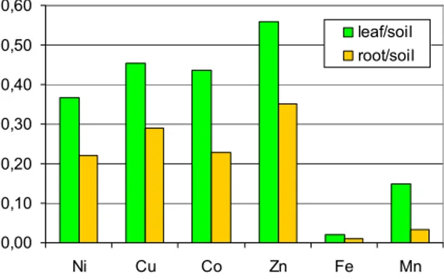 Fig. 3. The soil-plant transfer coefficients regarding the carrot leaf and root  