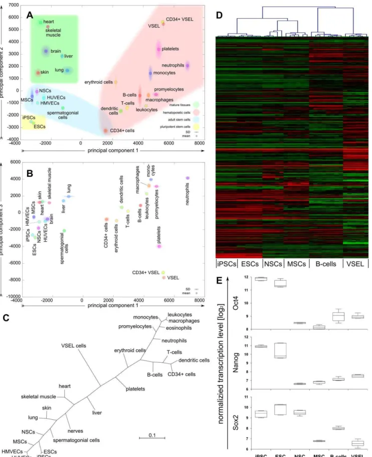 Figure 5. Microarray analysis of sorted hUCB VSEL cells and comparison to other stem and mature cell types (listed in Table S2).