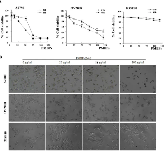 Fig 1. The effects of PMBPs on the viability of ovarian cancer cells and normal ovarian cells