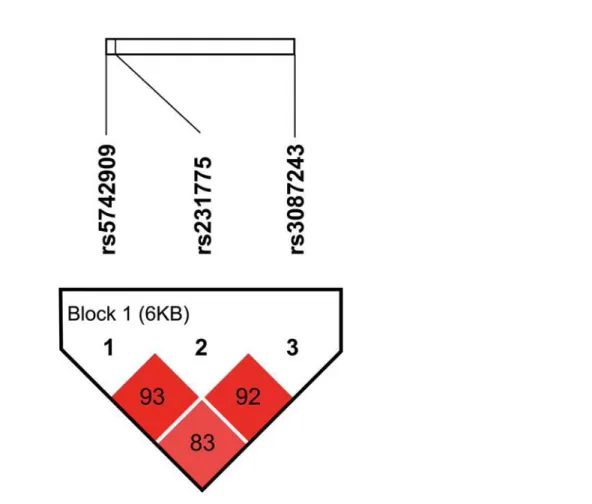 Table 3. Polymorphism of CT60 (rs3087243) of the CTLA4 gene in adult Graves disease, pediatric Graves disease, Hashimoto disease patients and controls.