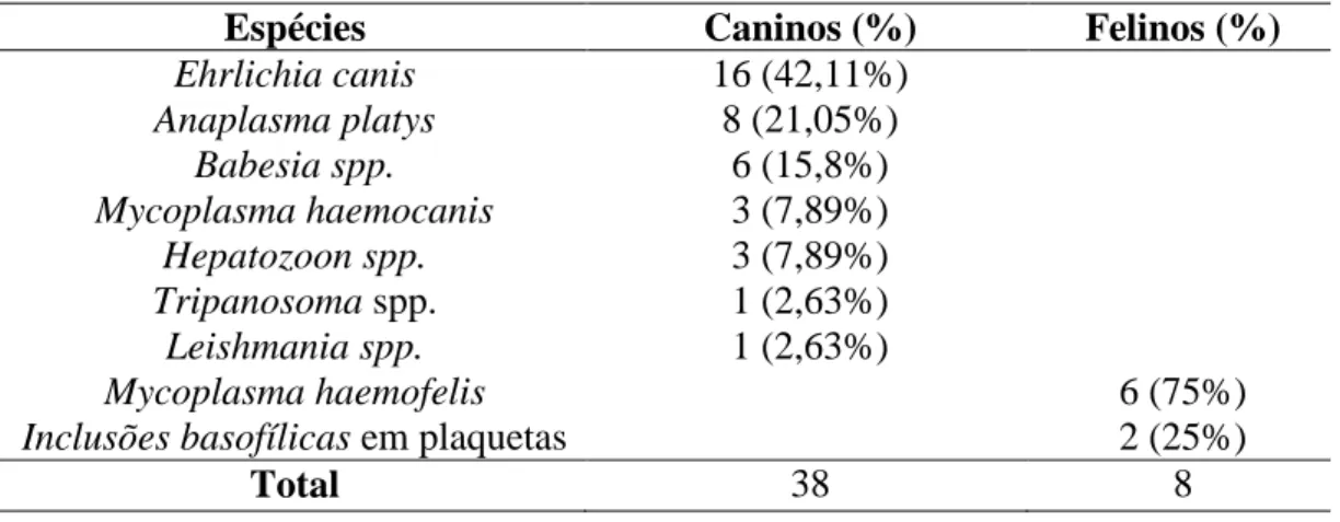 Tabela 2 – Espécies de hemoparasitas em cães e gatos em Roraima, Brasil. 