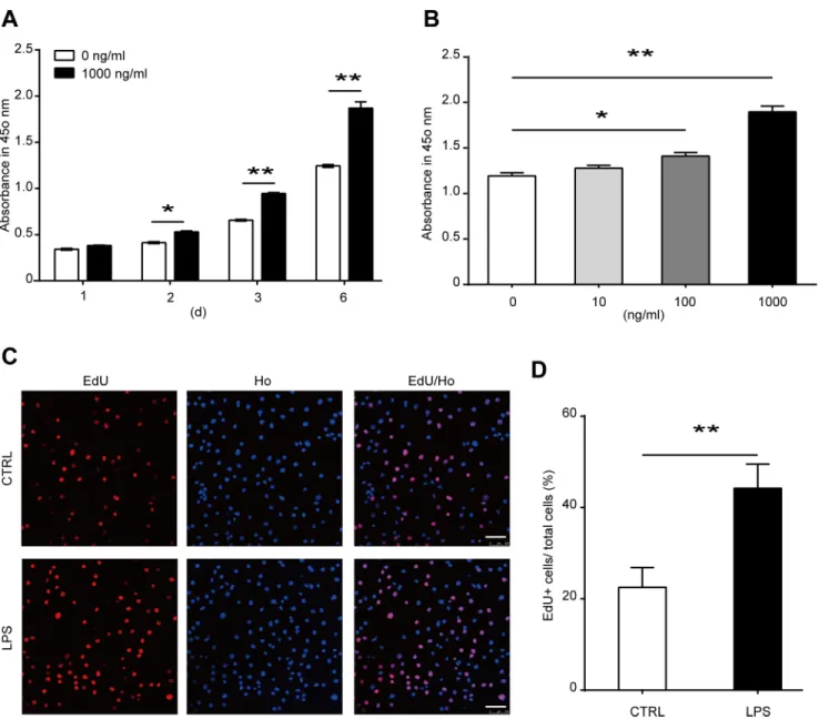 Fig 2. Effects of LPS treatment on the proliferation of MSCs. (A) MSCs were treated with 1000 ng/ml LPS for 1, 2, 3, or 6 days