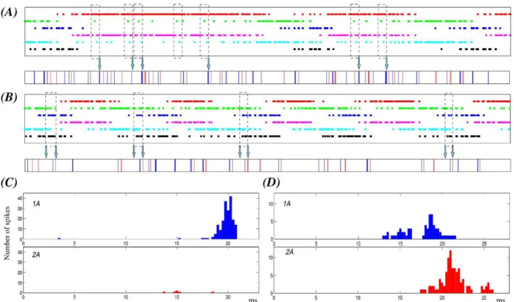 Figure 8. Specific sensory network activation phase locks correspond to a unique motor activity during hunting behavior