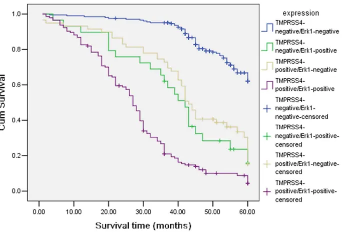 Table 3. Correlation between TMPRSS4 and Erk1 in gastric cancer. Erk1 x 2 P value Positive (%) Negative (%) TMPRSS4 Positive (%) 144 (70.9%) 59 (29.1%) Negative (%) 29 (12.4%) 204 (87.6%) 155.1 0.0001 doi:10.1371/journal.pone.0070311.t003