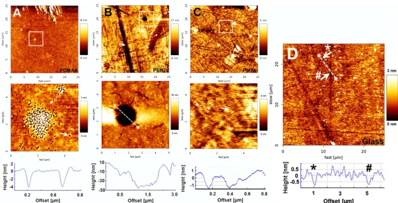 Fig 1. Representative AFM height images of polymer-coated and uncoated glass surfaces