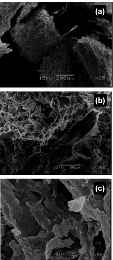 Fig 1. Scanning electron micrographs of CLB at (a) 85×, (b) 500× and (c) 3000× magnification.