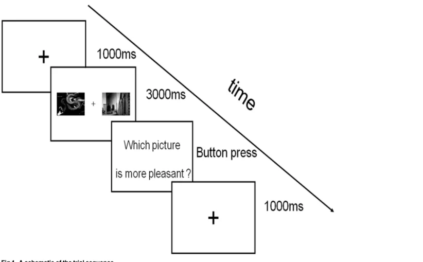 Fig 1. A schematic of the trial sequence.