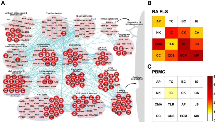 Figure 2. A RA-perturbed network in the RA synovium and signatures of FLS and PBMC in the RA tissue network