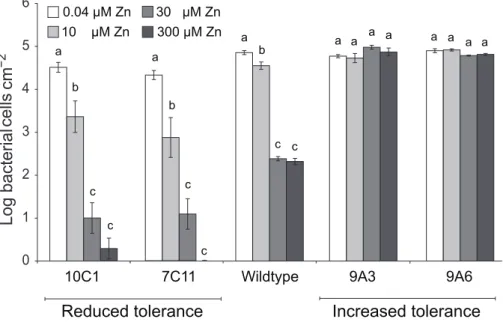 Figure 7. P. syringae pv. maculicola M4 mutants with altered zinc tolerance show differential growth in Thlaspi caerulescens